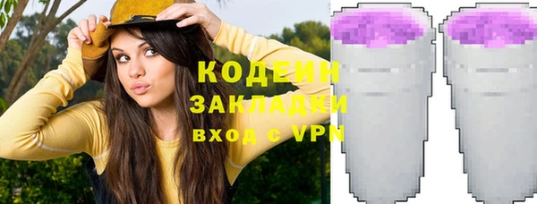 твердый Чегем