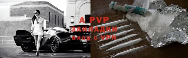 твердый Чегем