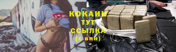 твердый Чегем