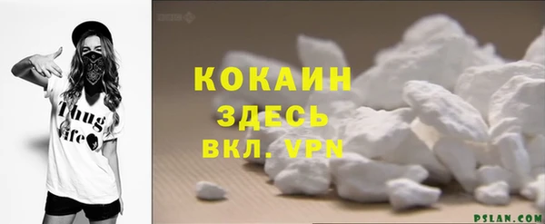 твердый Чегем