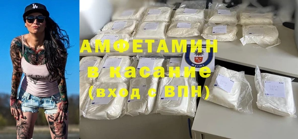 твердый Чегем
