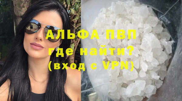 твердый Чегем