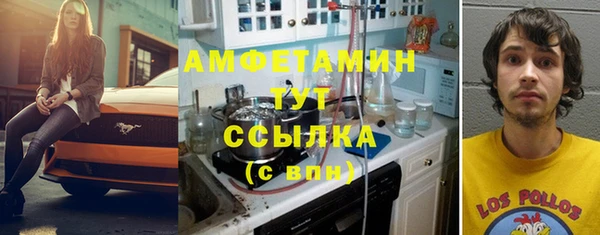 твердый Чегем