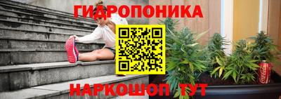 прущий лед Гусев