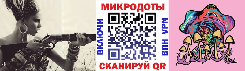 Псилоцибиновые грибы Psilocybe Нефтеюганск