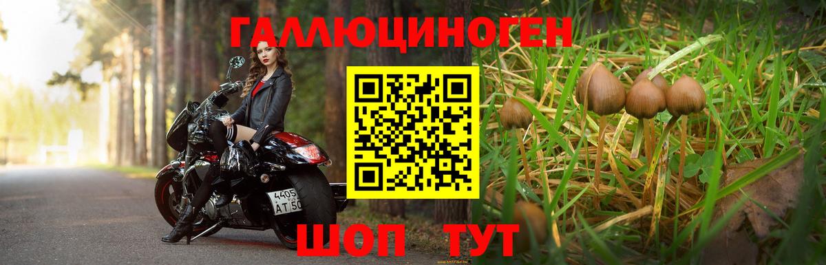 Псилоцибиновые грибы прущие грибы  Вход с VPN  Нефтеюганск 